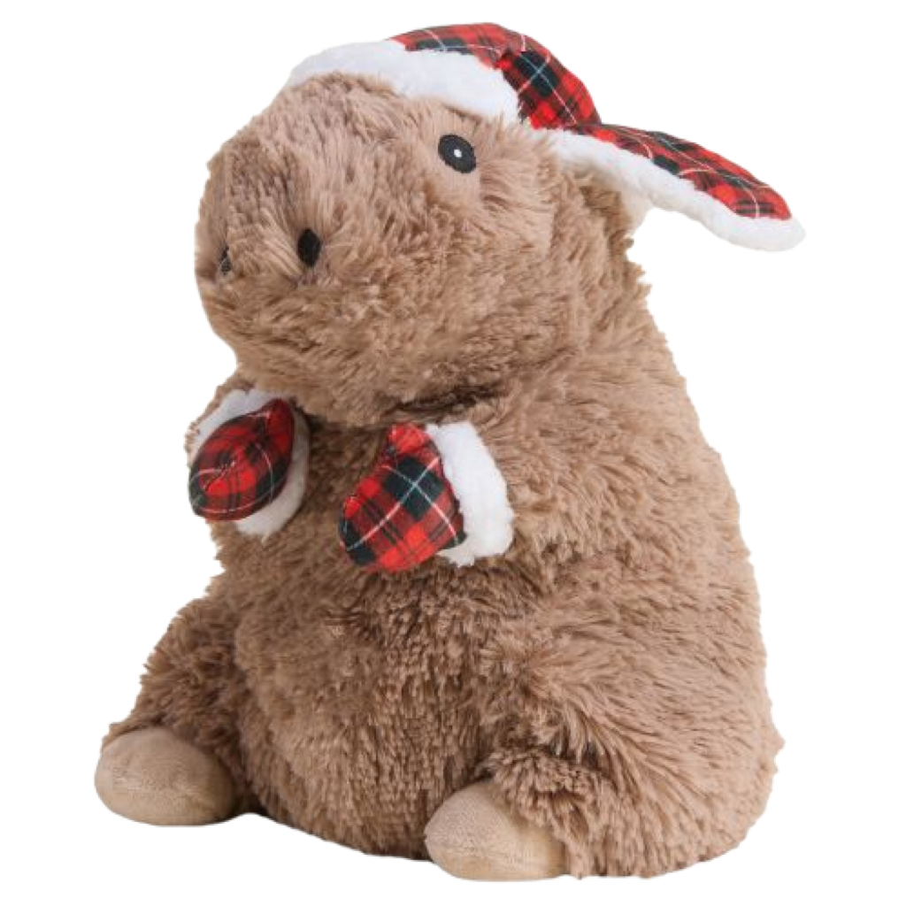 Cozy Capybara Warmies Plush