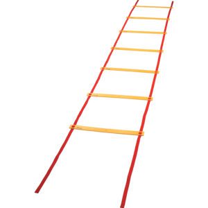 An agility ladder