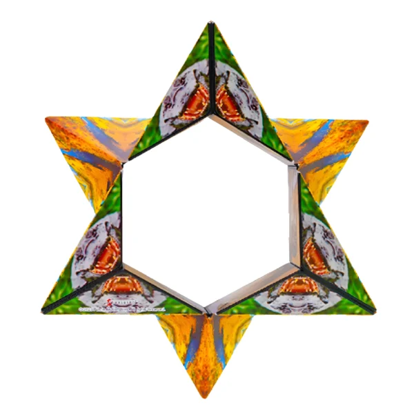 Puzzle Box Savanna Shashibo