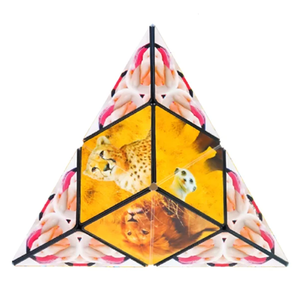 Puzzle Box Shashibo Savanna