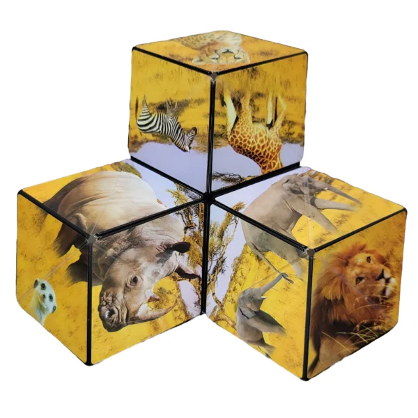 Savanna Puzzle Box Shashibo
