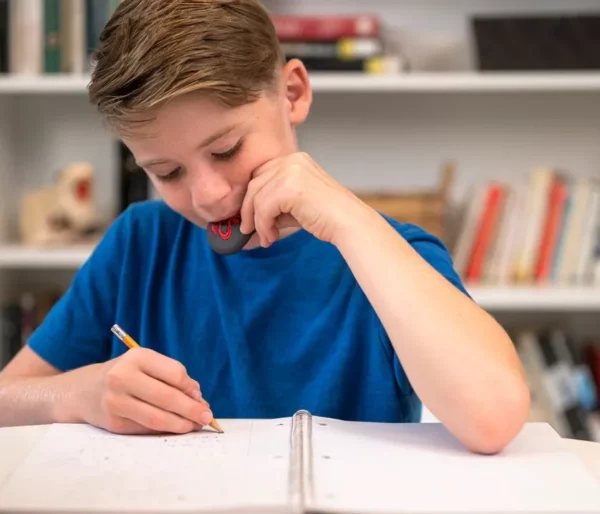 Dragon Chewelry in use