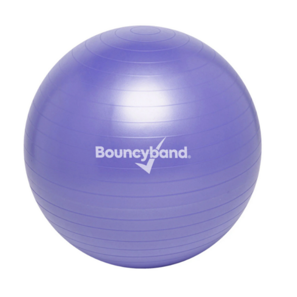 Weighted Stability Ball Purple
