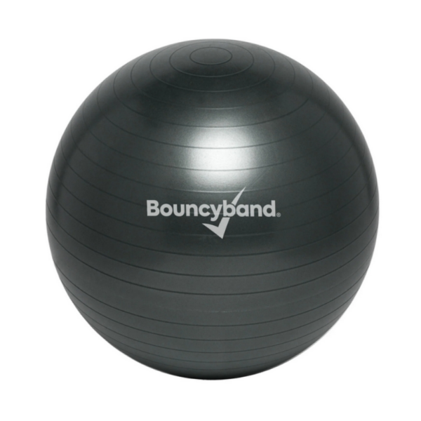 Weighted Stability Ball Black