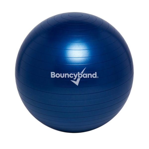 Weighted Stability Ball Blue