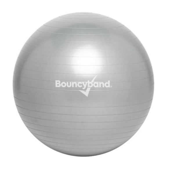 Stability Ball Grey