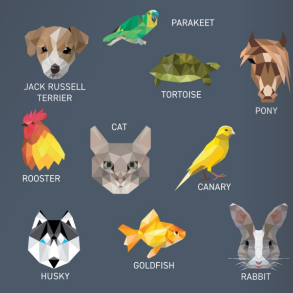 Pet Sticker Book