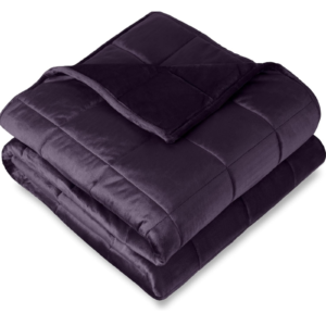 Eggplant Minky Fleece