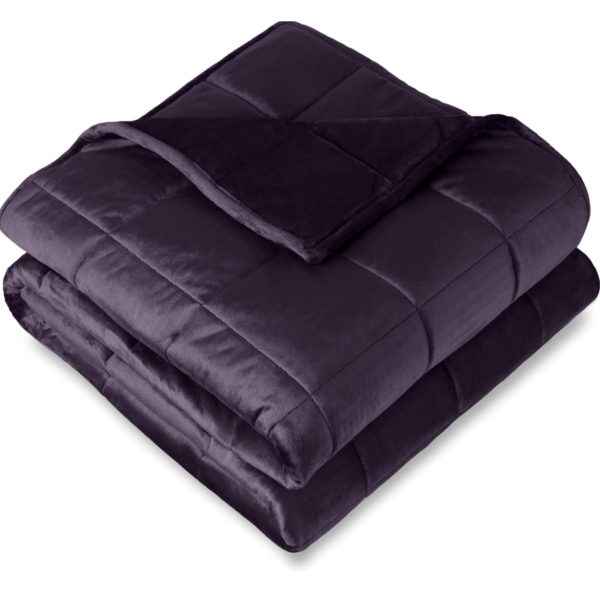 Eggplant Minky Fleece