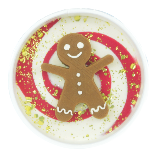 Crazy Aarons Land Of Dough Gingerbread Fred