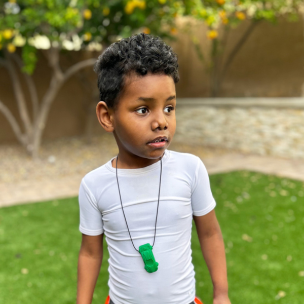 Racecar Chew Necklace ARK