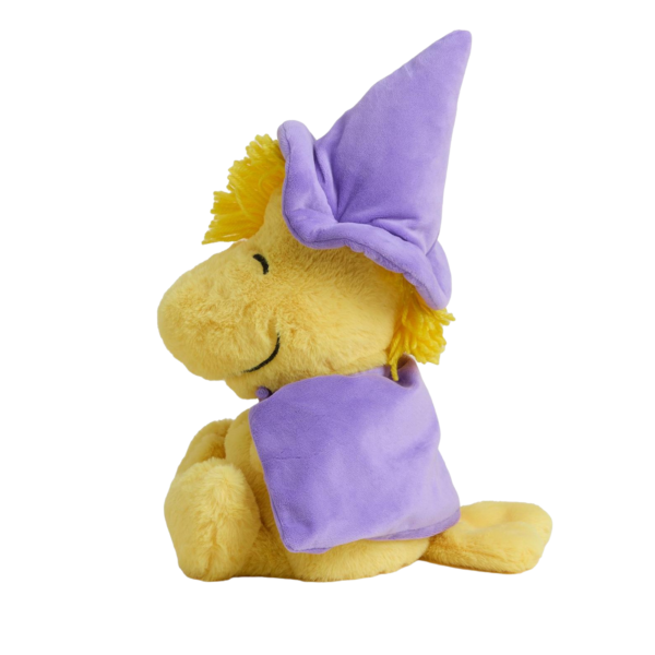 Wizard Woodstock Warmies
