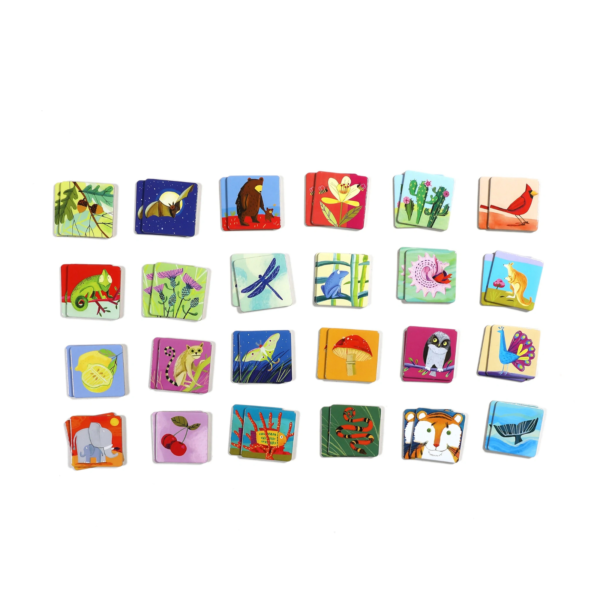 eeboo MGLOE3 Life on Earth Memory and Matching Game