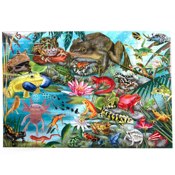 eeboo PZAPB Love of Amphibians Puzzle