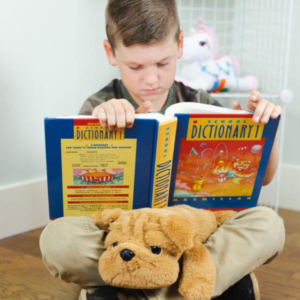 Happy Hugs Weighted Plush Bulldog Bouncyband