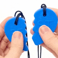 Best Friends Split Heart Chewable Necklace ARK