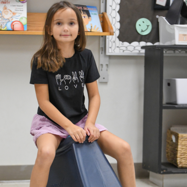 RSBU Rocking Saddle Stool Bouncyband