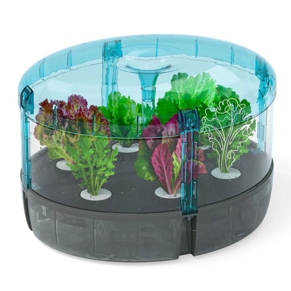 Thames and Kosmos 550077 Hydroponics Lab