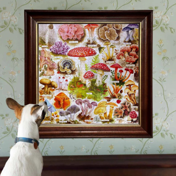 PZT501 eeBoo Bountiful Mushrooms 1000 Piece Puzzle