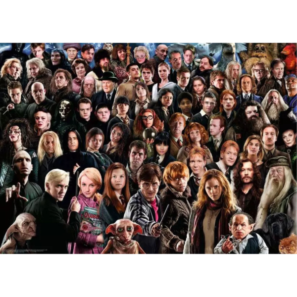 Ravensburger Puzzle Harry Potter Challenge 12000457