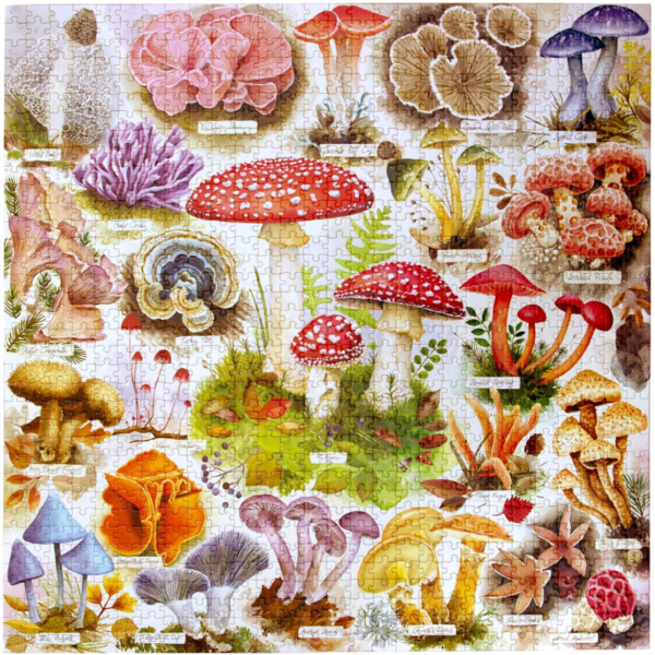 eeBoo PZT501 Bountiful Mushrooms 1000 Piece Puzzle